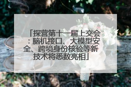 探营第十一届上交会：脑机接口、大模型安全、跨境身份核验等新技术将悉数亮相