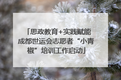 思政教育+实践赋能 成都世运会志愿者“小青椒”培训工作启动