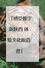 感受数字新陕西 体验文化新消费