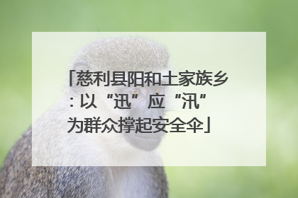 慈利县阳和土家族乡：以“迅”应“汛” 为群众撑起安全伞
