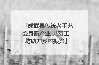 成武县传统老手艺变身新产业 共富工坊助力乡村振兴