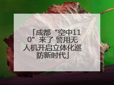 成都“空中110”来了 警用无人机开启立体化巡防新时代
