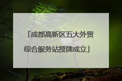 成都高新区五大外贸综合服务站授牌成立
