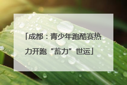 成都：青少年跑酷赛热力开跑“蓄力”世运