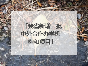 我省新增一批中外合作办学机构和项目