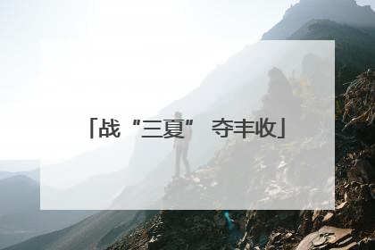 战“三夏” 夺丰收