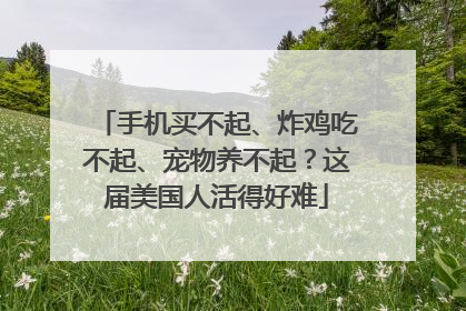 手机买不起、炸鸡吃不起、宠物养不起？这届美国人活得好难
