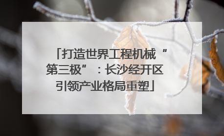 打造世界工程机械“第三极”：长沙经开区引领产业格局重塑