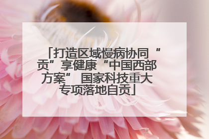 打造区域慢病协同“贡”享健康“中国西部方案” 国家科技重大专项落地自贡