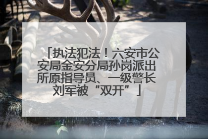 执法犯法！六安市公安局金安分局孙岗派出所原指导员、一级警长刘军被“双开”