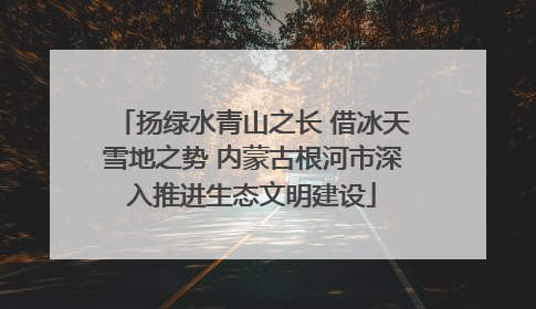 扬绿水青山之长 借冰天雪地之势 内蒙古根河市深入推进生态文明建设