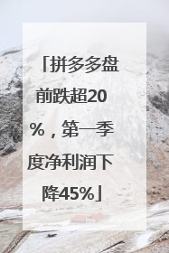 拼多多盘前跌超20%，第一季度净利润下降45%