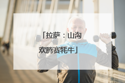 拉萨：山沟欢腾赛牦牛