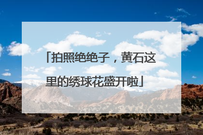拍照绝绝子，黄石这里的绣球花盛开啦