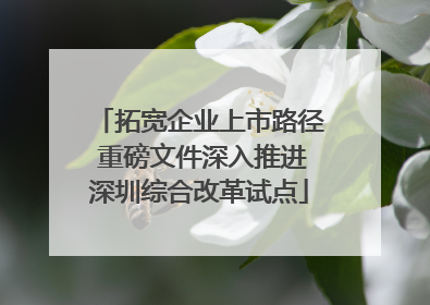 拓宽企业上市路径 重磅文件深入推进深圳综合改革试点