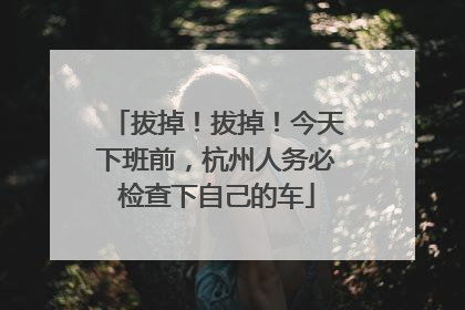 拔掉！拔掉！今天下班前，杭州人务必检查下自己的车
