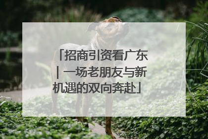 招商引资看广东｜一场老朋友与新机遇的双向奔赴