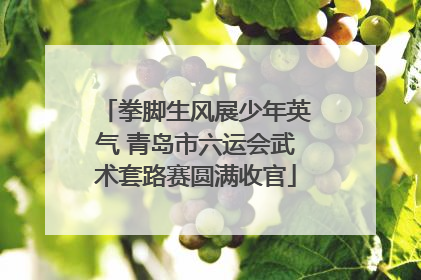 拳脚生风展少年英气 青岛市六运会武术套路赛圆满收官