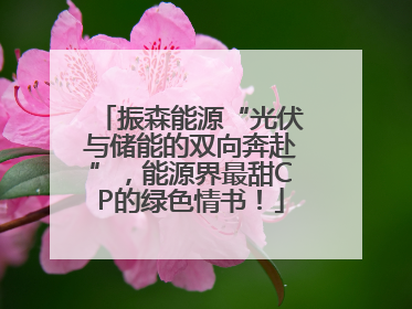 振森能源“光伏与储能的双向奔赴”，能源界最甜CP的绿色情书！