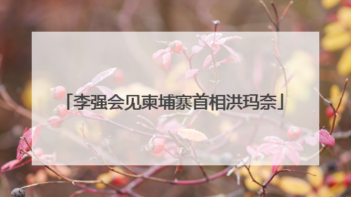 李强会见柬埔寨首相洪玛奈