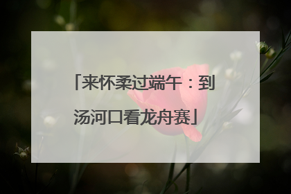 来怀柔过端午：到汤河口看龙舟赛