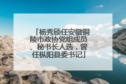 杨秀颀任安徽铜陵市政协党组成员、秘书长人选，曾任枞阳县委书记