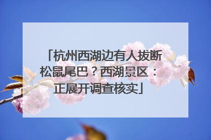 杭州西湖边有人拔断松鼠尾巴？西湖景区：正展开调查核实