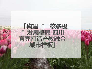 构建“一核多极”发展格局 四川宜宾打造产教融合城市样板