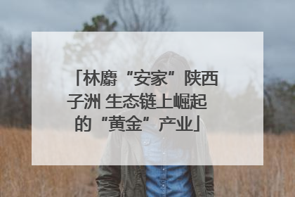林麝“安家”陕西子洲 生态链上崛起的“黄金”产业