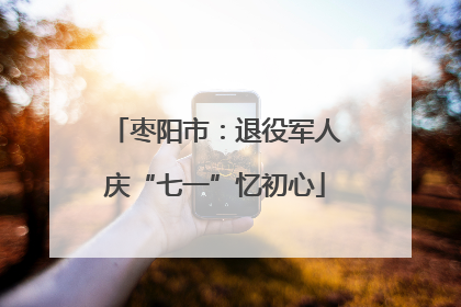 枣阳市：退役军人庆“七一”忆初心
