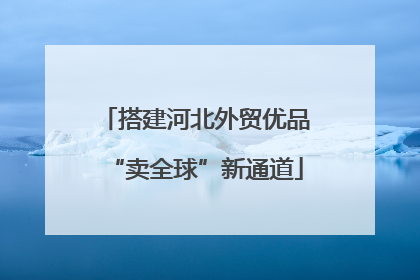 搭建河北外贸优品“卖全球”新通道