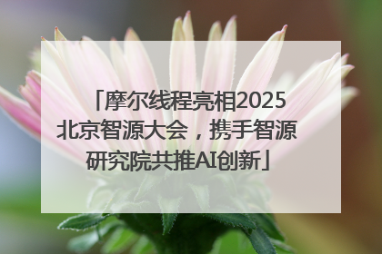摩尔线程亮相2025北京智源大会，携手智源研究院共推AI创新