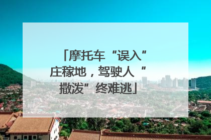 摩托车“误入”庄稼地，驾驶人“撒泼”终难逃