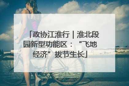 政协江淮行｜淮北段园新型功能区：“飞地经济”拔节生长