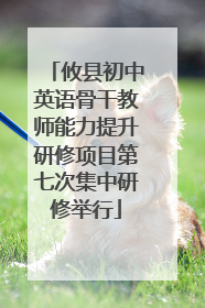 攸县初中英语骨干教师能力提升研修项目第七次集中研修举行
