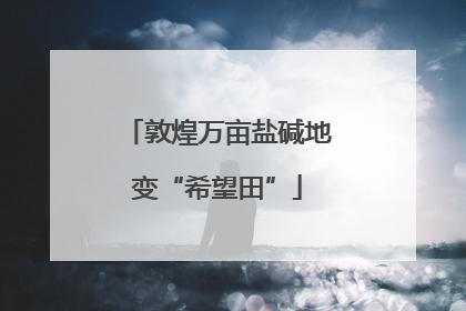 敦煌万亩盐碱地变“希望田”