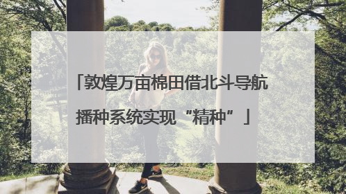 敦煌万亩棉田借北斗导航播种系统实现“精种”