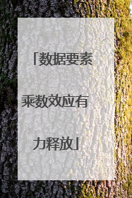 数据要素乘数效应有力释放