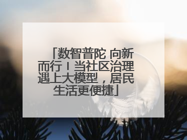 数智普陀 向新而行〡当社区治理遇上大模型，居民生活更便捷