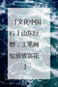 文化中国行丨山东巨野：工笔画绽放致富花