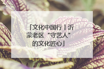 文化中国行丨沂蒙老区“守艺人”的文化匠心