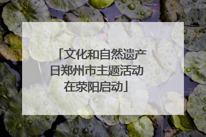 文化和自然遗产日郑州市主题活动在荥阳启动
