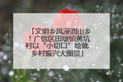 文明乡风浸润山乡！广信区田墩镇黄坑村以“小切口”绘就乡村振兴大图景