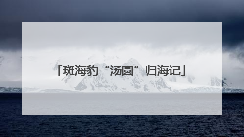 斑海豹“汤圆”归海记