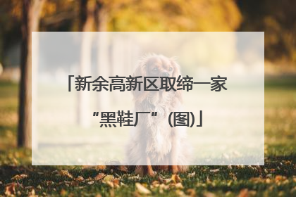 新余高新区取缔一家“黑鞋厂”(图)