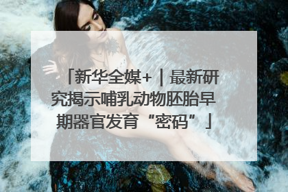 新华全媒+｜最新研究揭示哺乳动物胚胎早期器官发育“密码”