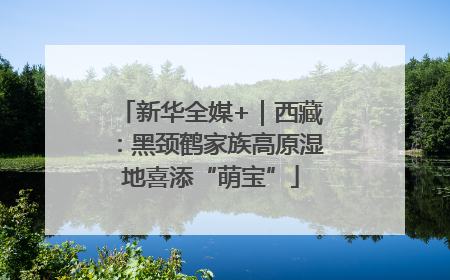 新华全媒+｜西藏：黑颈鹤家族高原湿地喜添“萌宝”