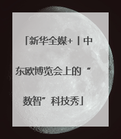 新华全媒+丨中东欧博览会上的“数智”科技秀