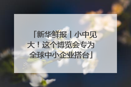 新华鲜报丨小中见大！这个博览会专为全球中小企业搭台