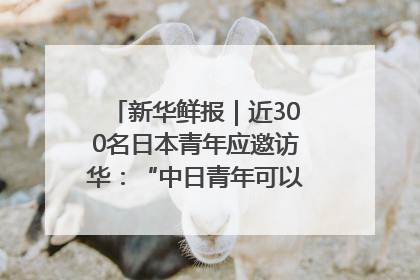 新华鲜报｜近300名日本青年应邀访华：“中日青年可以创造更好的未来”